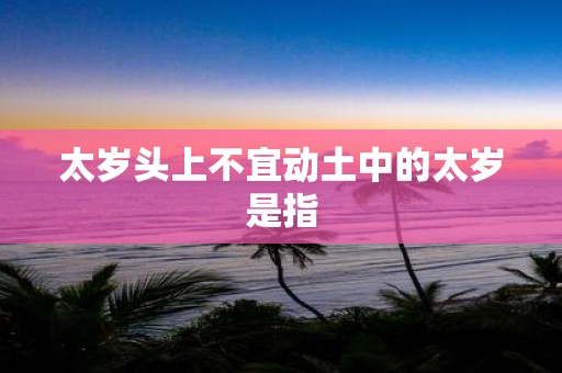 太岁头上不宜动土中的太岁是指
