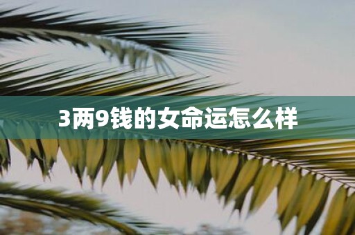 3两9钱的女命运怎么样