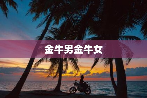 金牛男金牛女