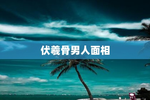 伏羲骨男人面相