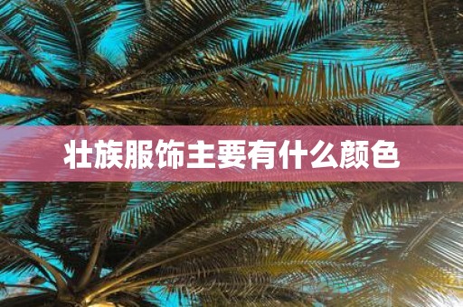 壮族服饰主要有什么颜色