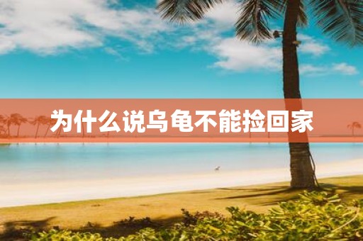 为什么说乌龟不能捡回家