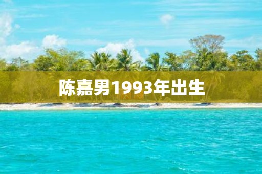 陈嘉男1993年出生