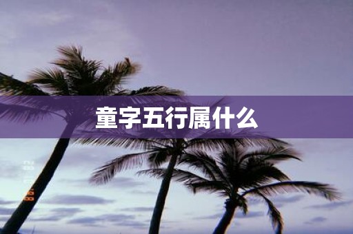 童字五行属什么