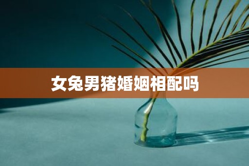 女兔男猪婚姻相配吗