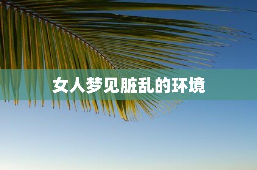 女人梦见脏乱的环境