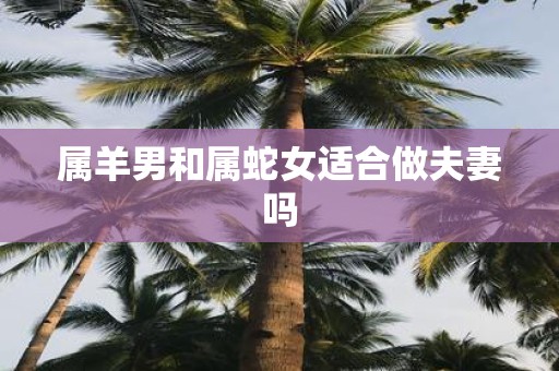 属羊男和属蛇女适合做夫妻吗