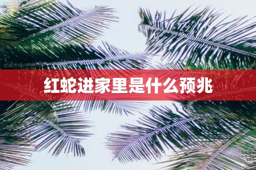 红蛇进家里是什么预兆