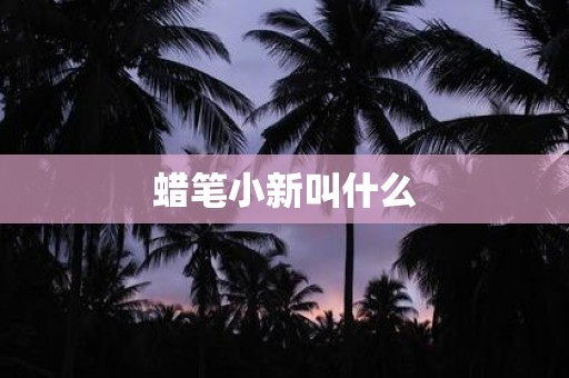蜡笔小新叫什么