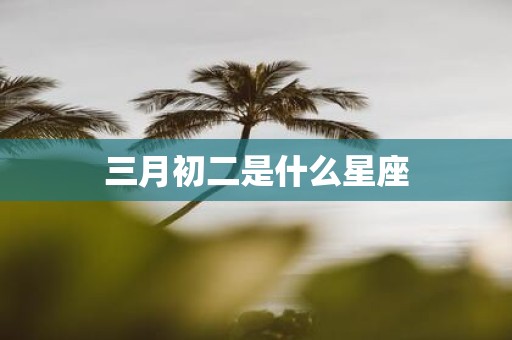 三月初二是什么星座