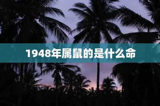 1948年属鼠的是什么命