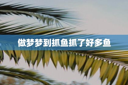 做梦梦到抓鱼抓了好多鱼