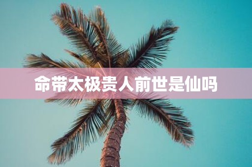 命带太极贵人前世是仙吗