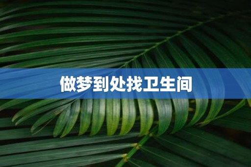 做梦到处找卫生间