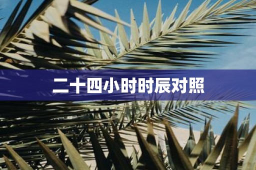 二十四小时时辰对照