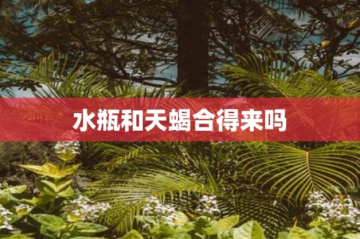 水瓶和天蝎合得来吗