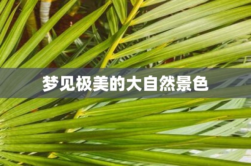 梦见极美的大自然景色