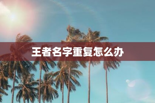 王者名字重复怎么办