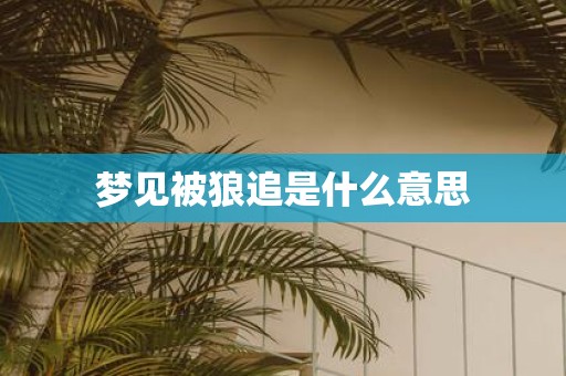 梦见被狼追是什么意思