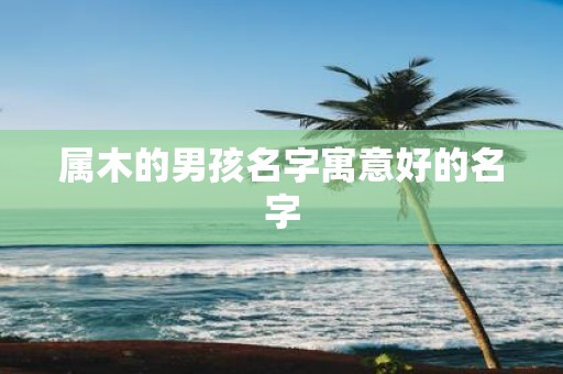 属木的男孩名字寓意好的名字
