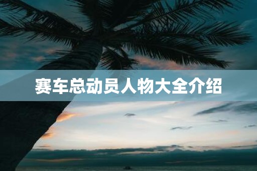 赛车总动员人物大全介绍