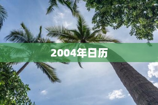 2004年日历