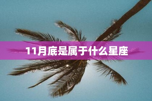11月底是属于什么星座
