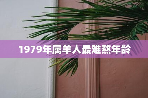 1979年属羊人最难熬年龄
