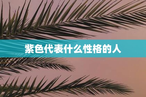 紫色代表什么性格的人