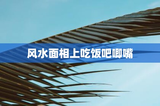 风水面相上吃饭吧唧嘴
