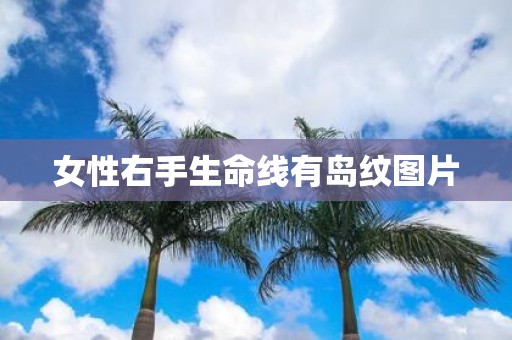 女性右手生命线有岛纹图片