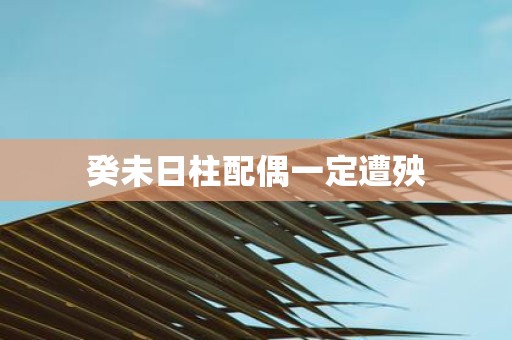 癸未日柱配偶一定遭殃