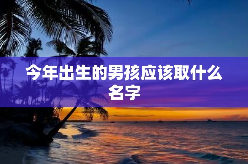 今年出生的男孩应该取什么名字