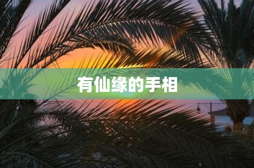 有仙缘的手相