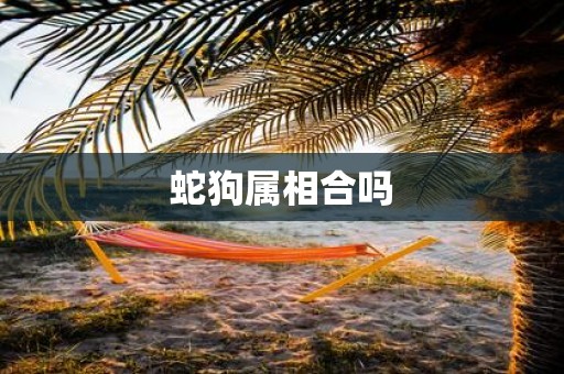 蛇狗属相合吗