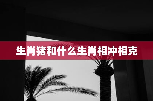 生肖猪和什么生肖相冲相克