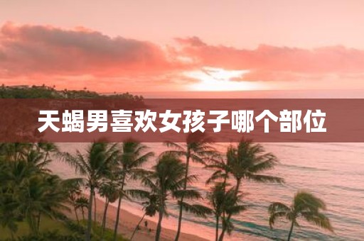 天蝎男喜欢女孩子哪个部位