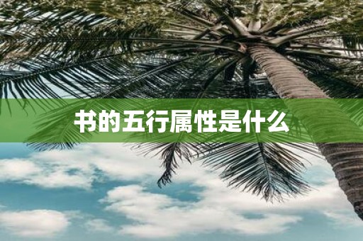 书的五行属性是什么