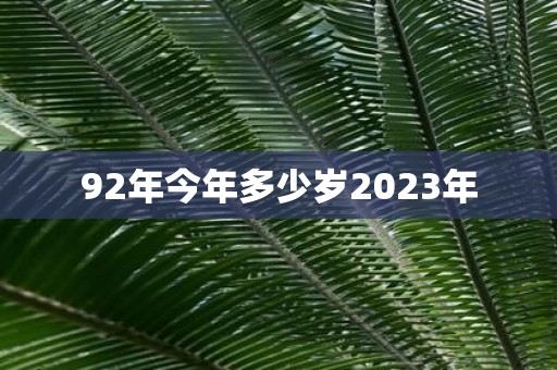 92年今年多少岁2023年