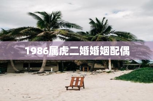 1986属虎二婚婚姻配偶