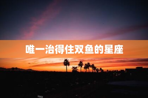 唯一治得住双鱼的星座