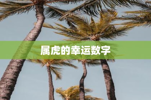 属虎的幸运数字