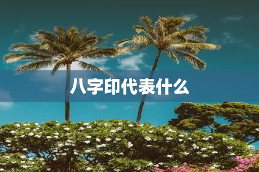 八字印代表什么
