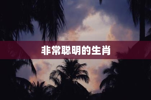 非常聪明的生肖