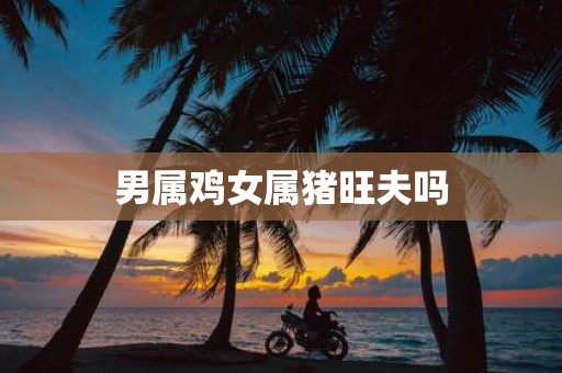 男属鸡女属猪旺夫吗