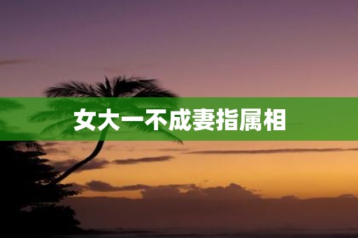 女大一不成妻指属相