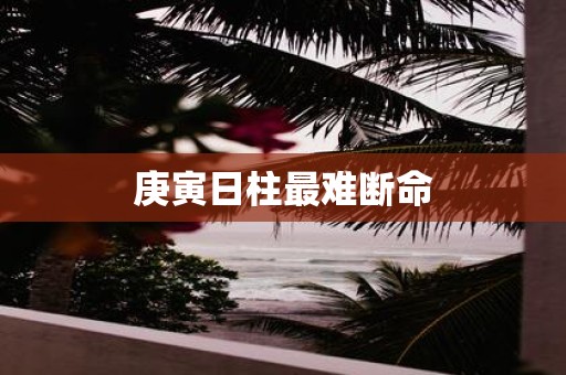 庚寅日柱最难断命
