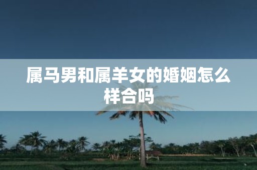 属马男和属羊女的婚姻怎么样合吗