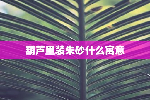 葫芦里装朱砂什么寓意