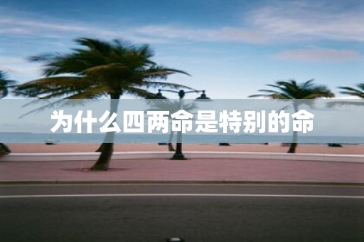 为什么四两命是特别的命